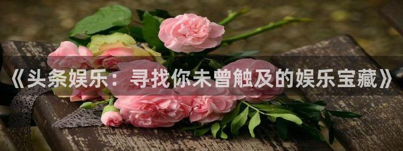 泰达娱乐体育1招商：《头条娱乐：寻找你未曾触及的娱乐宝藏》