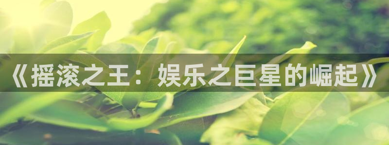 泰达娱乐体育游戏：《摇滚之王：娱乐之巨星的崛起》