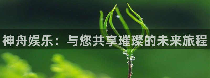 泰达娱乐凯捷注册：神舟娱乐：与您共享璀璨的未来旅程