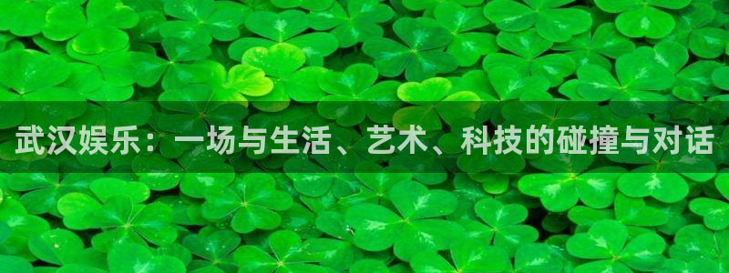 泰达娱乐凯捷开号链接：武汉娱乐：一场与生活、艺术、科技的碰撞与对话