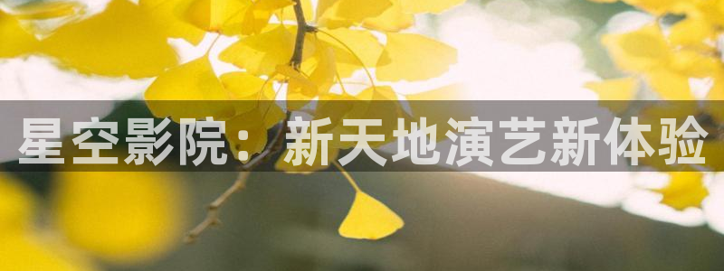 泰达娱乐网页版登：星空影院：新天地演艺新体验