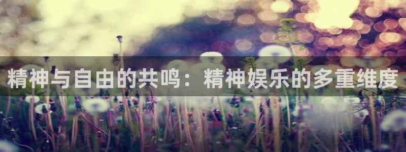 泰达娱乐k：精神与自由的共鸣：精神娱乐的多重维度