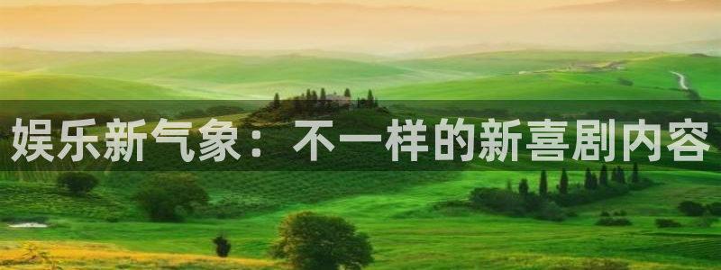 泰达娱乐主管：娱乐新气象：不一样的新喜剧内容