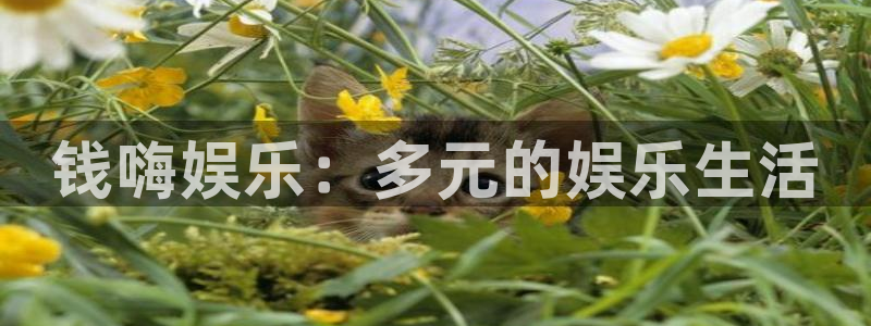 泰达娱乐体育官网注册：钱嗨娱乐：多元的娱乐生活