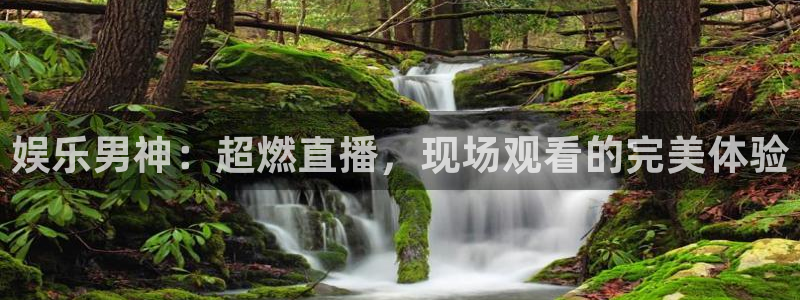 泰达娱乐代理：娱乐男神：超燃直播，现场观看的完美体验