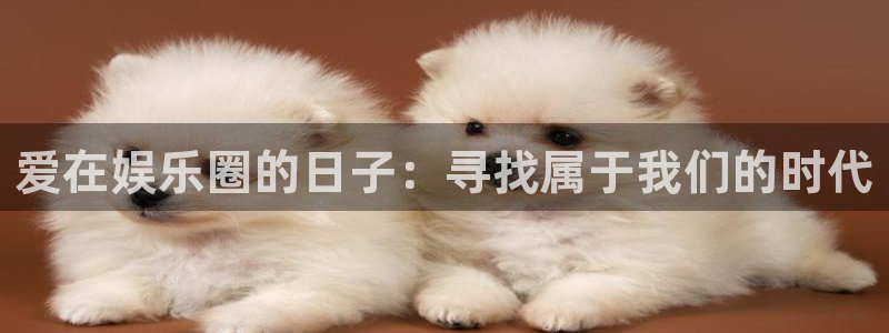 www.泰达娱乐体育.com：爱在娱乐圈的日子：寻找属于我们的时代