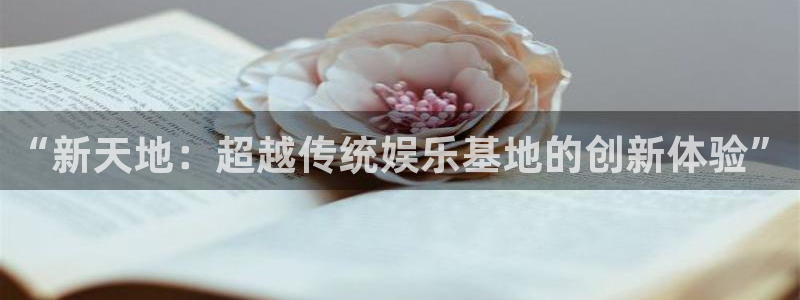 泰达娱乐体育官网入口登录：“新天地：超越传统娱乐基地的创新体验”