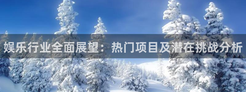 泰达娱乐能源：娱乐行业全面展望：热门项目及潜在挑战分析