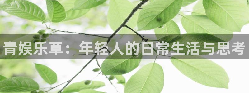 泰达娱乐平台管网入口：青娱乐草：年轻人的日常生活与思考