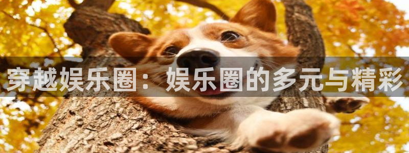 泰达娱乐平台注册：穿越娱乐圈：娱乐圈的多元与精彩