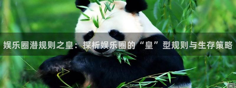 泰达娱乐3平台登录注册：娱乐圈潜规则之皇：探析娱乐圈的“皇”型规则与生存策略