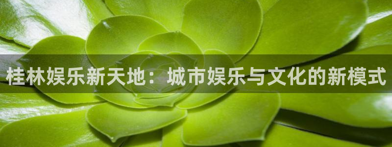 泰达娱乐k：桂林娱乐新天地：城市娱乐与文化的新模式