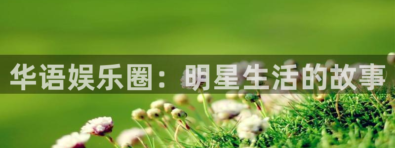 泰达娱乐官网地址：华语娱乐圈：明星生活的故事