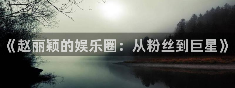 泰达娱乐2注册：《赵丽颖的娱乐圈：从粉丝到巨星》