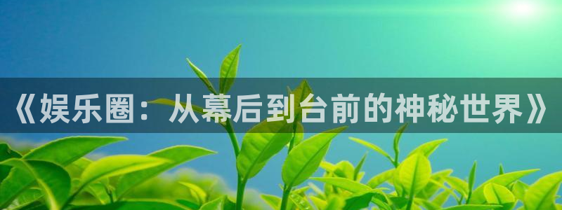 泰达娱乐招商：《娱乐圈：从幕后到台前的神秘世界》