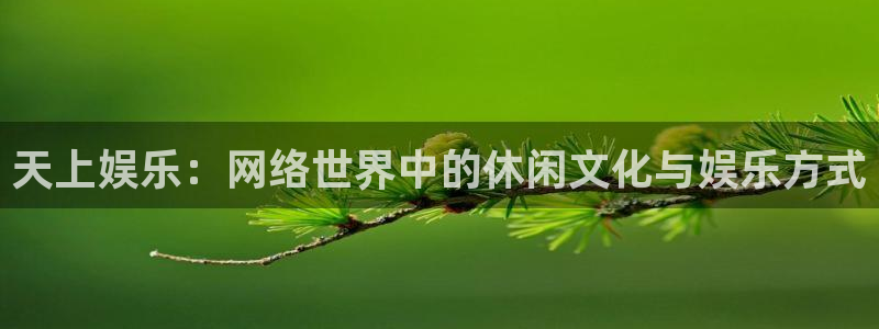 泰达娱乐注册入口与教程：天上娱乐：网络世界中的休闲文化与娱乐方式