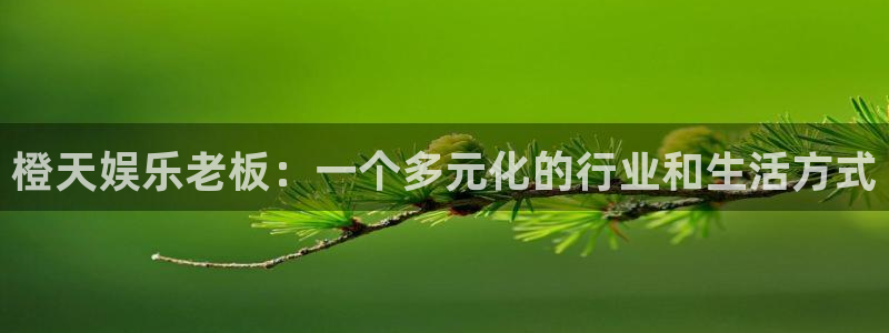 泰达娱乐体育f开号：橙天娱乐老板：一个多元化的行业和生活方式