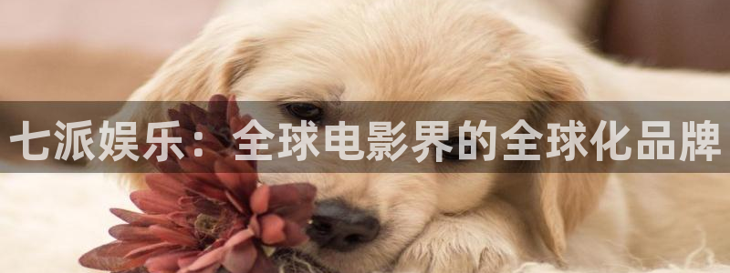 泰达娱乐平台官网入口下载：七派娱乐：全球电影界的全球化品牌