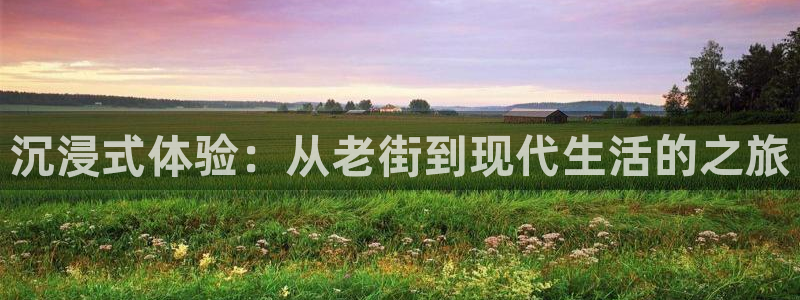 泰达娱乐游戏官网入口：沉浸式体验：从老街到现代生活的之旅