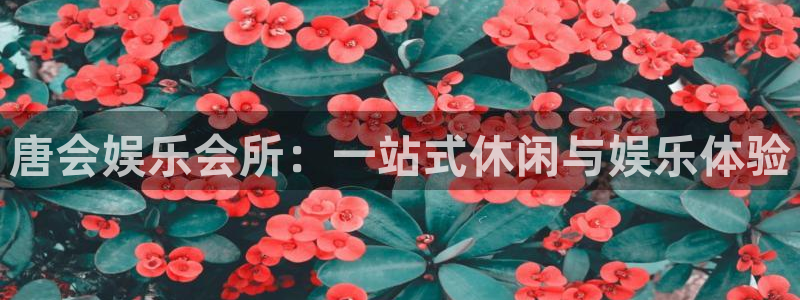 泰达娱乐官网注册：唐会娱乐会所：一站式休闲与娱乐体验