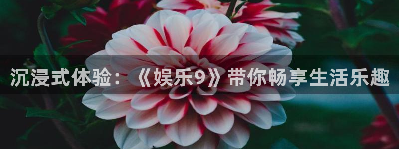泰达娱乐预测在线预测：沉浸式体验：《娱乐9》带你畅享生活乐趣