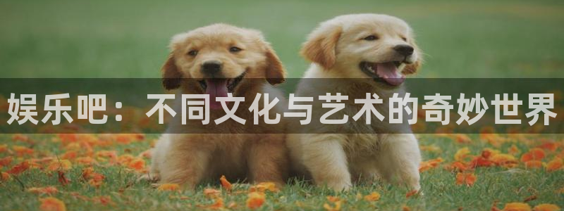 泰达娱乐官网：娱乐吧：不同文化与艺术的奇妙世界