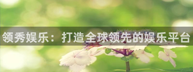 泰达娱乐是什么：领秀娱乐：打造全球领先的娱乐平台