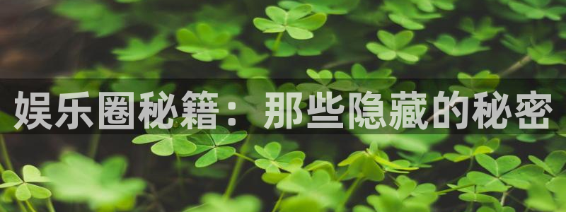 泰达娱乐2注册：娱乐圈秘籍：那些隐藏的秘密