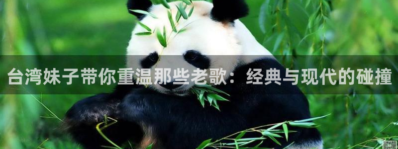 电子游戏泰达娱乐：台湾妹子带你重温那些老歌：经典与现代的碰撞