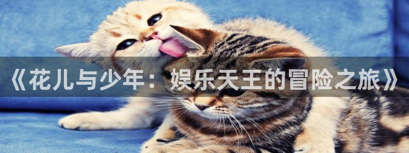 泰达娱乐pg电子游戏在线玩：《花儿与少年：娱乐天王的冒险之旅》