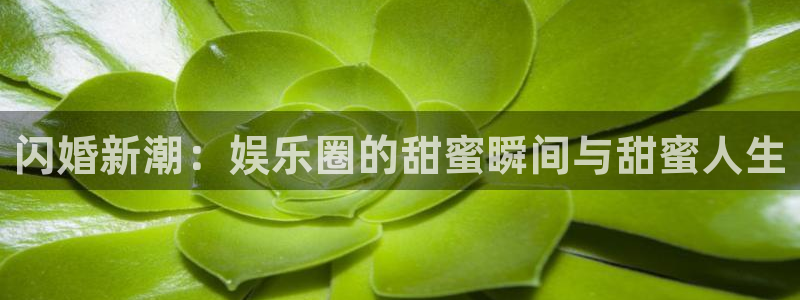 泰达娱乐3注册：闪婚新潮：娱乐圈的甜蜜瞬间与甜蜜人生