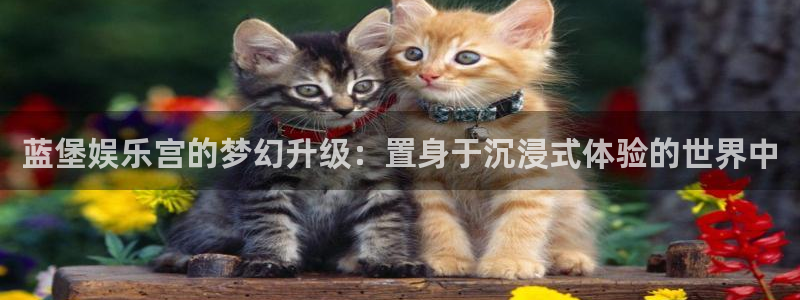 泰达娱乐代理注册官网入口：蓝堡娱乐宫的梦幻升级：置身于沉浸式体验的世界中