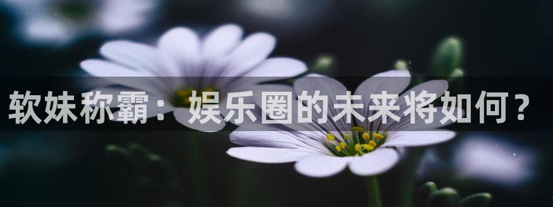 泰达娱乐体育4：软妹称霸：娱乐圈的未来将如何？