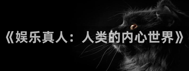 泰达娱乐招商：《娱乐真人：人类的内心世界》